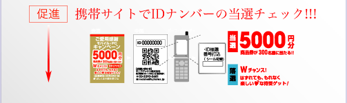 キャンペーンサイトワークフロー/促進
