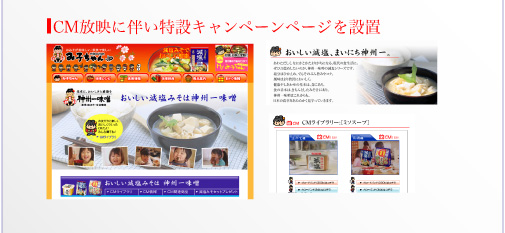 CM放送に伴い特設キャンペーンページを設置